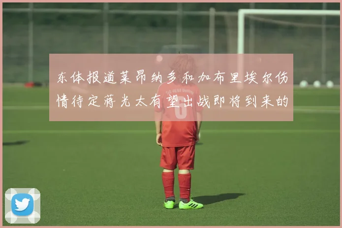 东体报道莱昂纳多和加布里埃尔伤情待定蒋光太有望出战即将到来的比赛