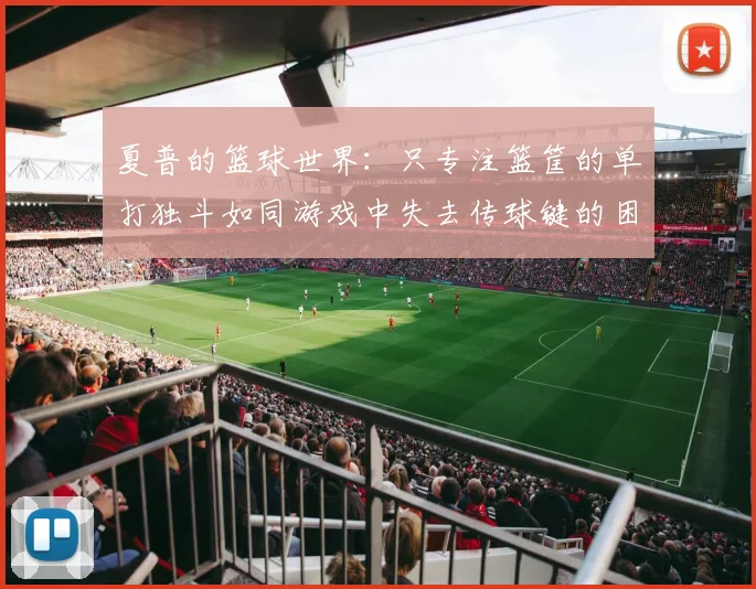 夏普的篮球世界：只专注篮筐的单打独斗如同游戏中失去传球键的困境