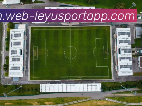 App Interface Preview