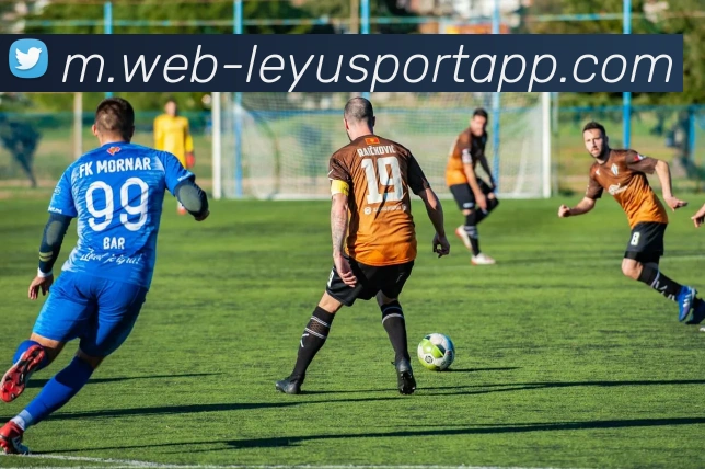 乐鱼体育APP 封面图